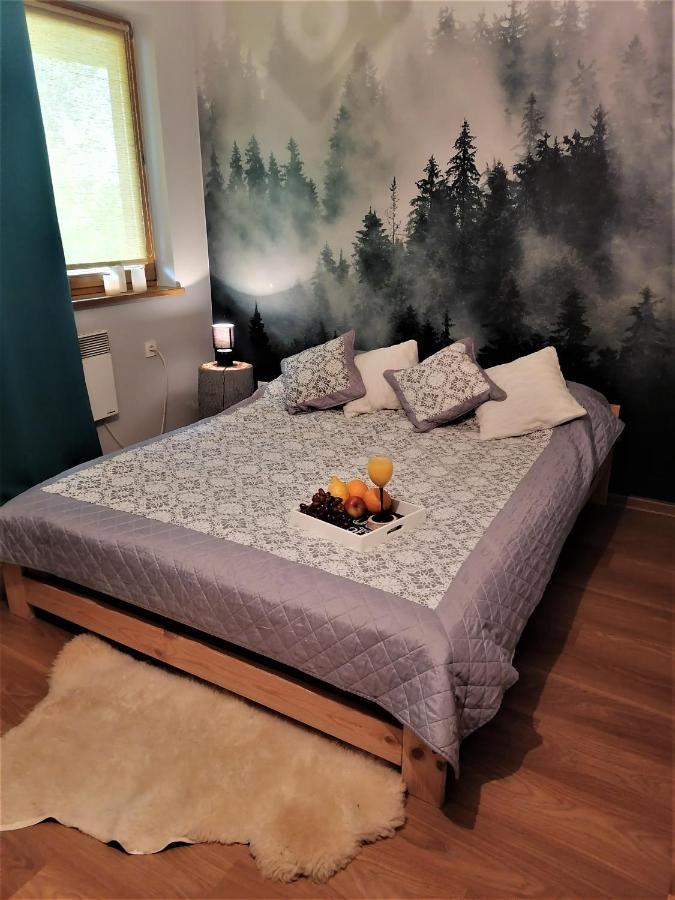 Apartament DobraNocka Apartment Poronin Bagian luar foto